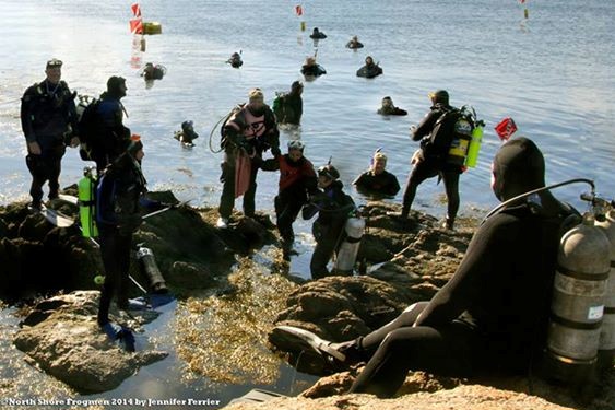 2014 Recreation of LIFE Magazine 1959 Photo- North Shore Frogmen at Pigeon Cove in Rockport, MA - 2014 Photo Re-creation: Bill Werner, Vinny Egizi, Amy Maurer, Laura Gallagher, Ellen Garvey, Jennifer Entwistle, John Ferrier, Markus Diersbock, Jim Barbara, Adam Hartnett, Alex Barbara, Peter Chapman, Bruce Moore, Mary Howard, Ray Porter at Plum Cove Beach.