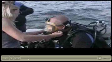 Go Scuba Diving with the North Shore Frogmen